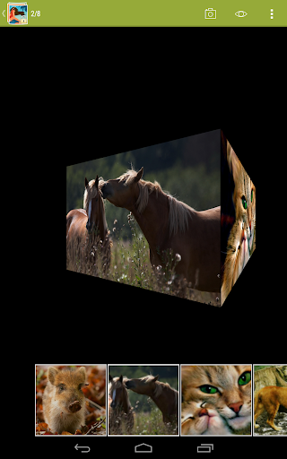 Gallery Plus: Photo Vault - Video Players & Editors - apps