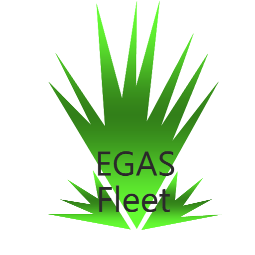 EGAS FleeT logo