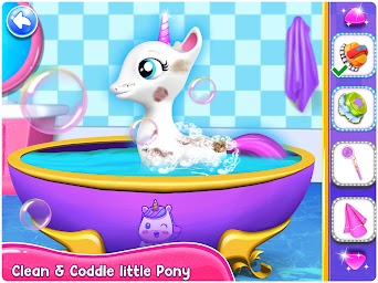 Little Pony Magical Princess