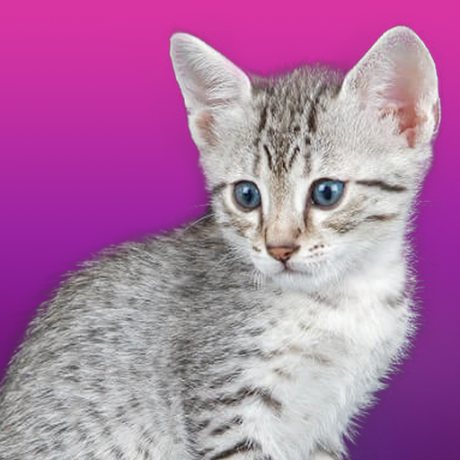 Talking Egyptian Cat logo