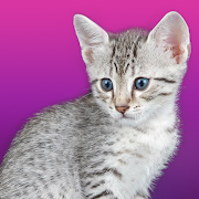 Top 21 Casual Apps Like Talking Egyptian Cat - Best Alternatives