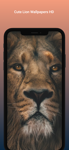 Awesome Lion Wallpapers HD