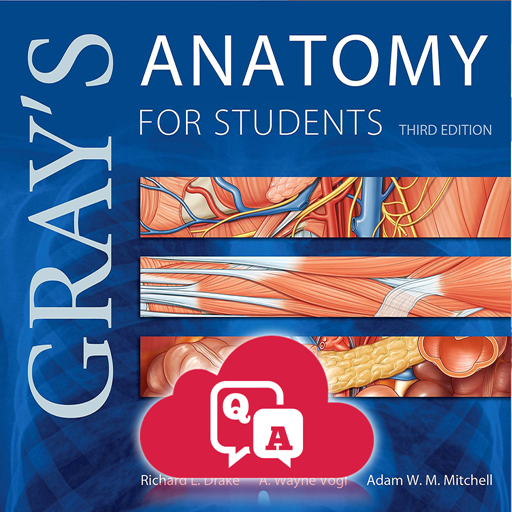 Baixar Gray's Anatomy Flash Cards