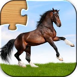 Icon image Animal Puzzles for Kids