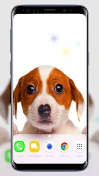 Puppies Live Wallpaper