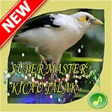 Super Master Kicau Jalak icon