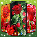 3D Red Rose Live Wallpaper 