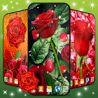 3D Red Rose Live Wallpaper ? Spring Garden Themes