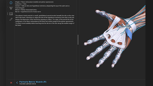 Screenshot of Visual Anatomy 3D - Human body