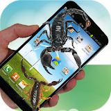 Scorpion Live Wallpaper icon