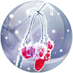 Cover Image of Download Winter charm parallax live wal  APK