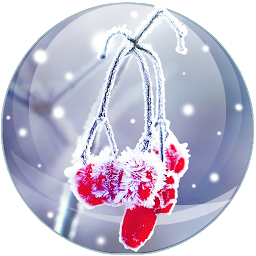 Icon image Winter charm parallax live wal