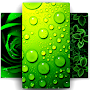 Green Wallpaper 4K, Green Shad