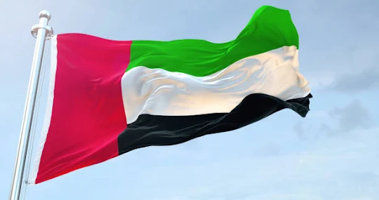 dubai flag image