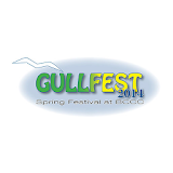 MSGullfest 2014 Application icon