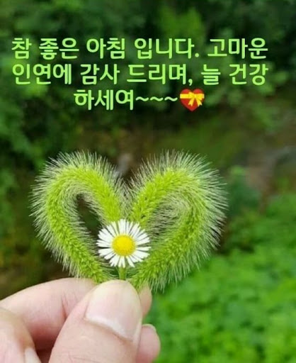 Android application 카드 좋은 아침 screenshort