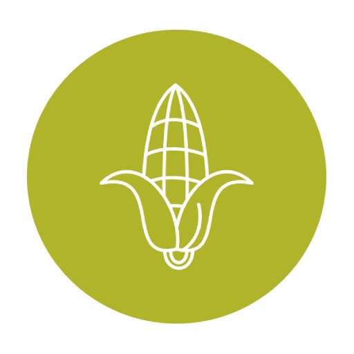 Makka Token Tuhar Hath logo