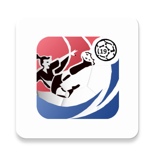 Womens Football World Cup 201