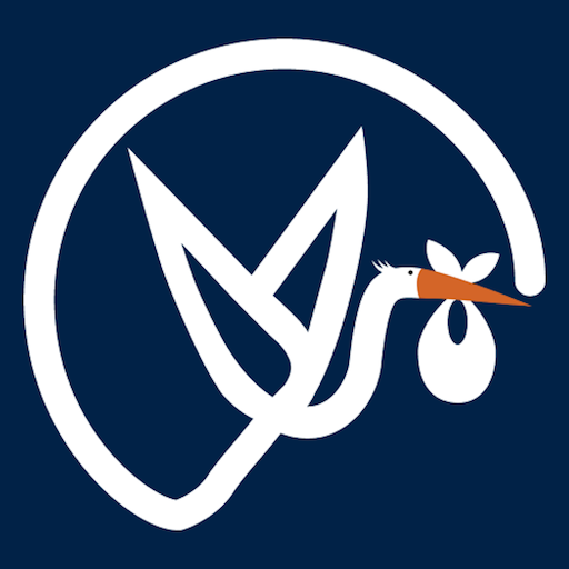 Niszeel.mn logo