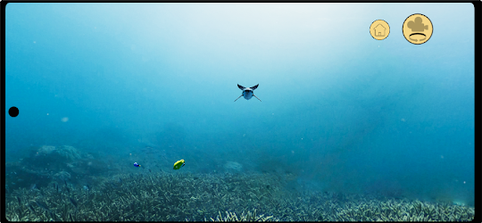 VR동화책: 폴리의 바다도감 대모험