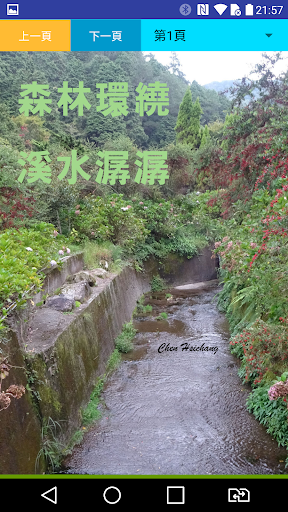 杉林溪一日賞鳥SunLinkSeaBirdWatching Screen 2