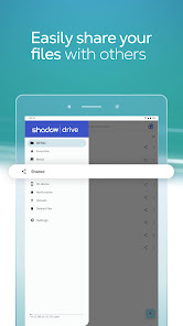 Screenshot image