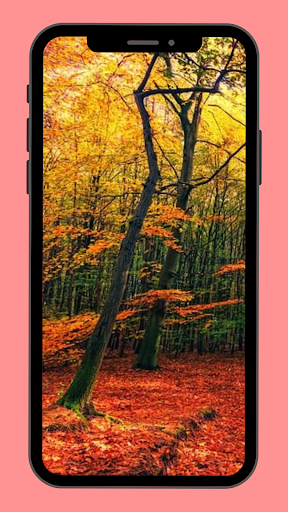 صور خلفيات الهاتف Screen 2