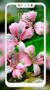 Captura de Pantalla 11 Lily Wallpaper android