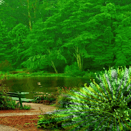 Icon image Green Forest Lake LWP