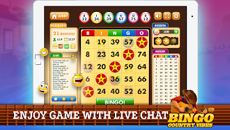 Game screenshot Bingo Country Vibes-Live Games apk download