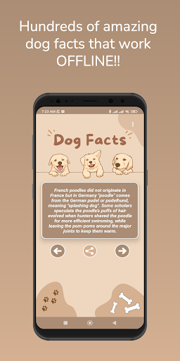 Android application Dog Facts screenshort