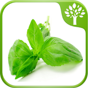 Home Remedies - Natural Cure 4.0 Icon