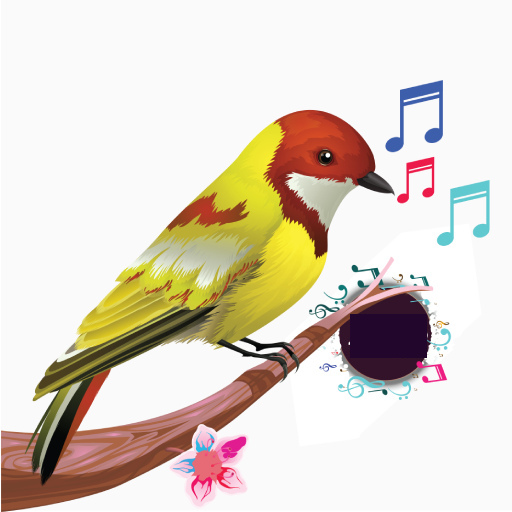 Birds Sounds & Birds Ringtones 1.9.7 Icon