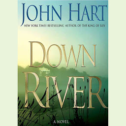 Icon image Down River: A Novel