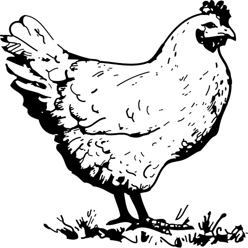 Chicken Sound logo