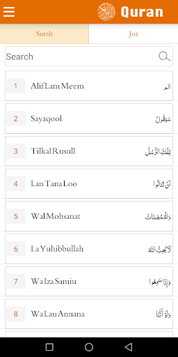 Quran with Chinese Translation Screen 3