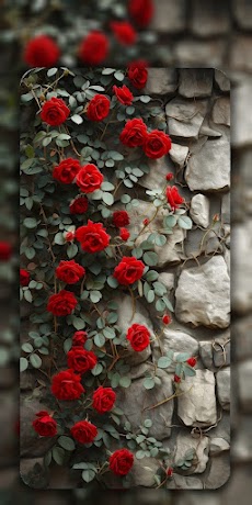 Flower Wallpaper 4K backgroundのおすすめ画像4