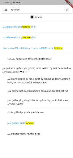 Hans Wehr Dictionary Screen 3