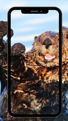 Otter UHD Wallpapers Screen 2