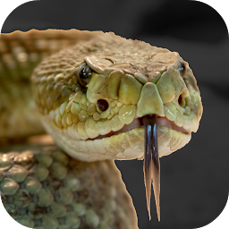 આઇકનની છબી Rattlesnake Sounds