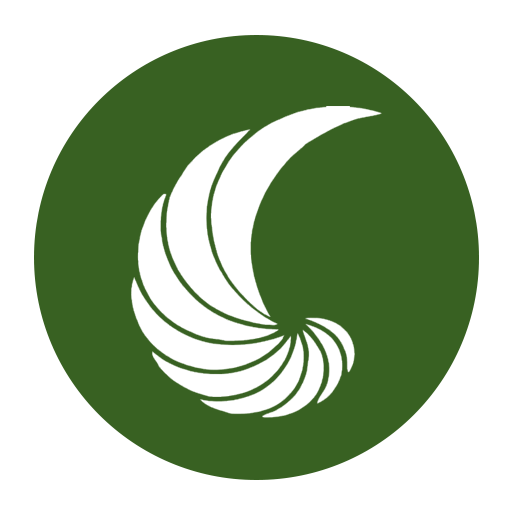 IBdata logo
