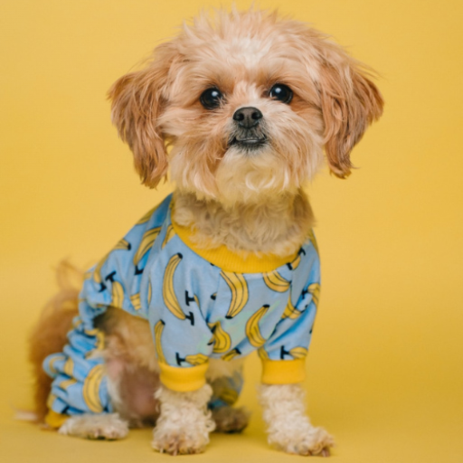 Cute dog wallpapers puppy logo