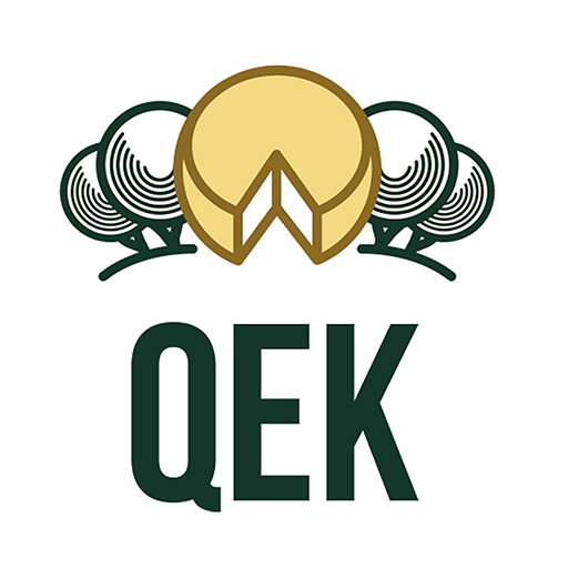 QEcomuniKa logo