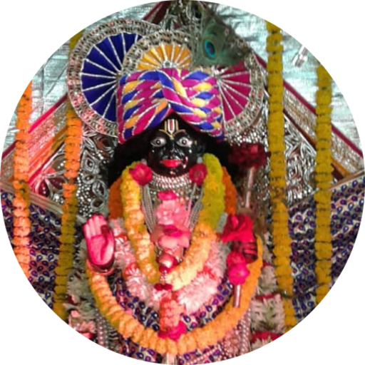 JAY SHREE SHYAM POINT logo