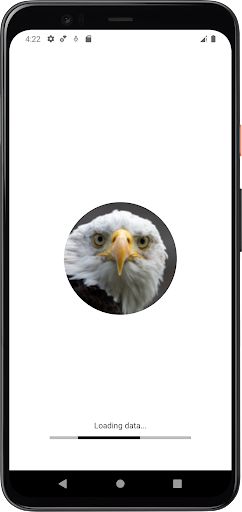 Android application Bald Eagle Sounds screenshort