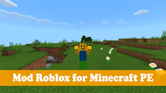 Roblox Minecraft Skins Mod PE