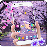 Cherry Blossoms Live Wallpaper icon