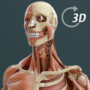 Top 37 Medical Apps Like Visual Anatomy 3D | Human - Best Alternatives