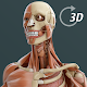 Visual Anatomy 3D | Human Download on Windows