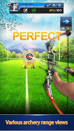 Game screenshot Archery Tournament mod apk
